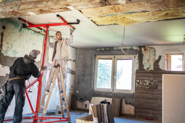 Best Insulation Maintenance and Repair in Radium Springs, NM